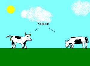 mooo!