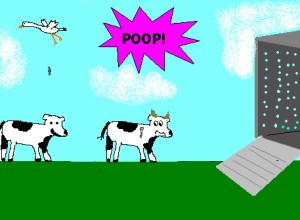 poop!