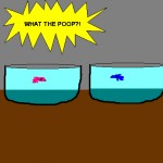 What the poop?!